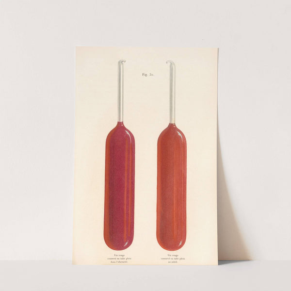 Études Sur Le Vin Pl.18 by Louis Pasteur