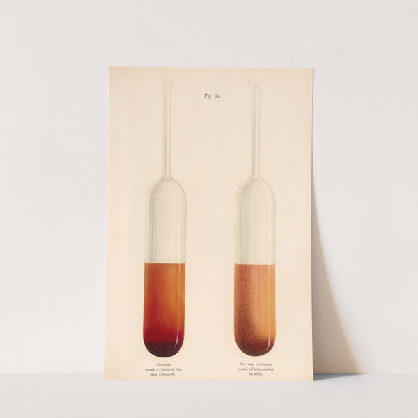 Études Sur Le Vin Pl.19 by Louis Pasteur