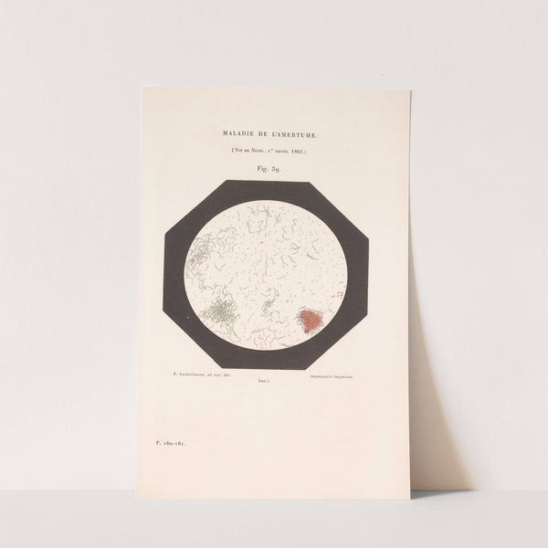 Études Sur Le Vin Pl.27 by Louis Pasteur