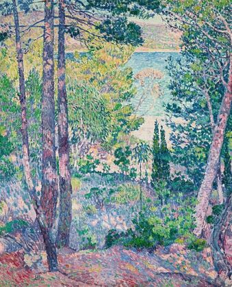 Eucalyptus à Cavalière