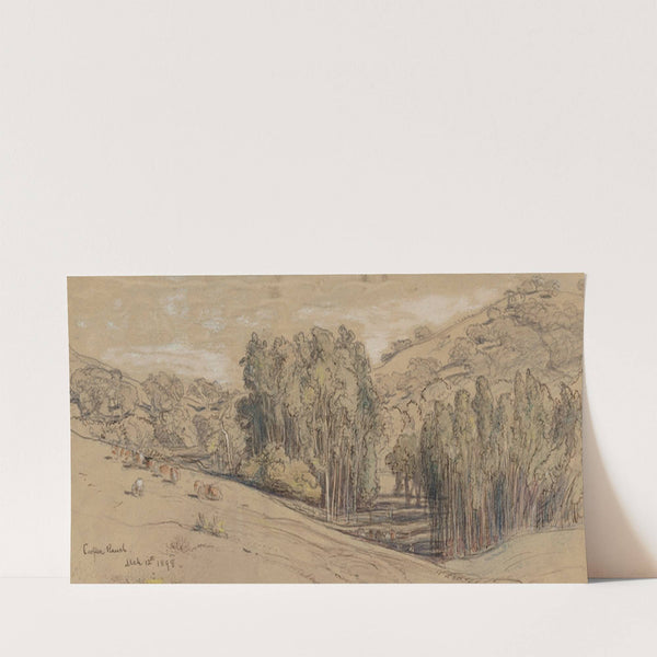 Eucalyptus Groves on the Cooper Ranch, Santa Barbara (1898) by Samuel Colman