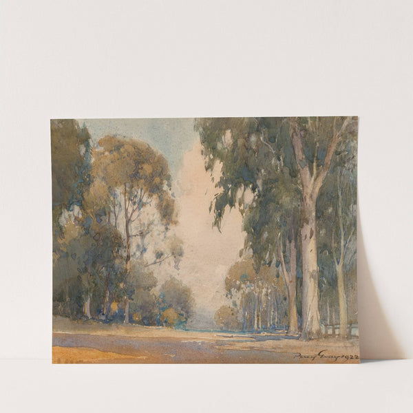 Eucalyptus by Percy Gray