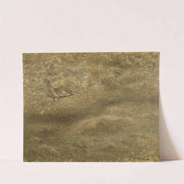 Eurasian Curlew (1907) by Bruno Liljefors