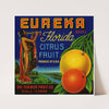 Eureka Brand Florida Citrus Fruit Label (1930-1950)