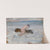 Europa auf dem schwimmenden Stier by Ernst Schiess