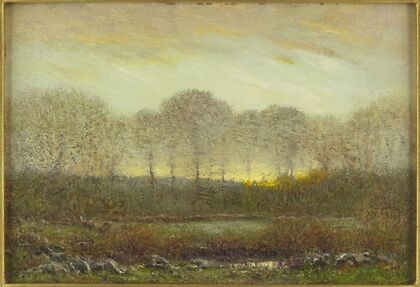 Evening Landscape