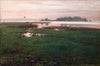 Evening Landscape