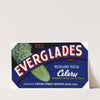 Everglades Brand Muckland Pascal Celery Label (1930-1950)