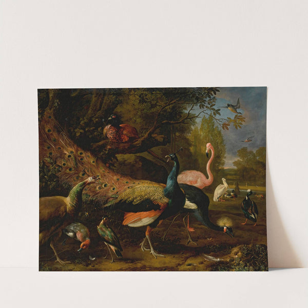 Exotic fowl, including a peacock and peahen, flamingo, African crane, pheasant, and lapwing, shoveller, pelican and tufted duck by Melchior d'''Hondecoeter