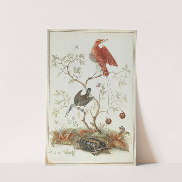 Exotische Vögel mit Schildkröte