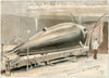 Expositie te Le Havre van aangespoelde walvis, 1857
