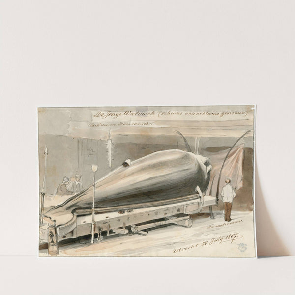 Expositie te Le Havre van aangespoelde walvis, 1857 by Pieter van Loon