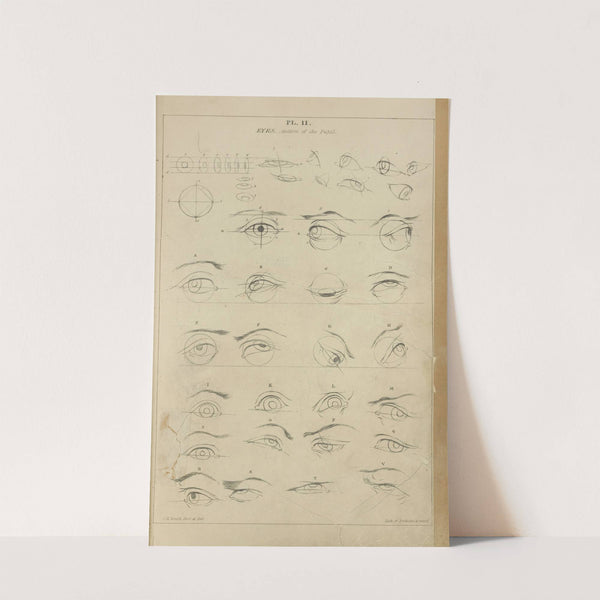 Eyes - action of the pupil by John Rubens Smith