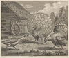 Fable XI. The Peacock, the Turkey, and the Goose