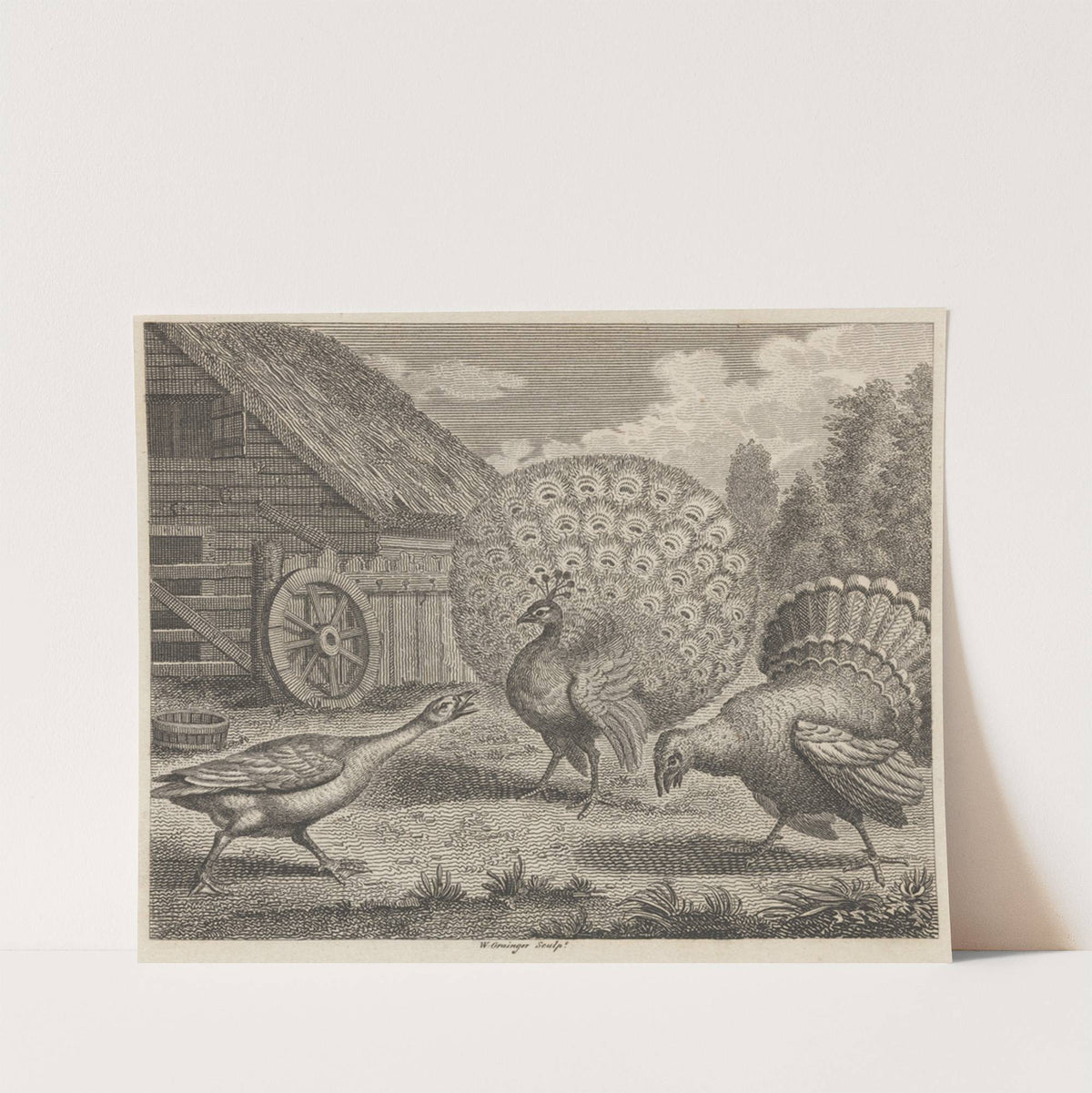 Fable XI. The Peacock, the Turkey, and the Goose by John Wootton