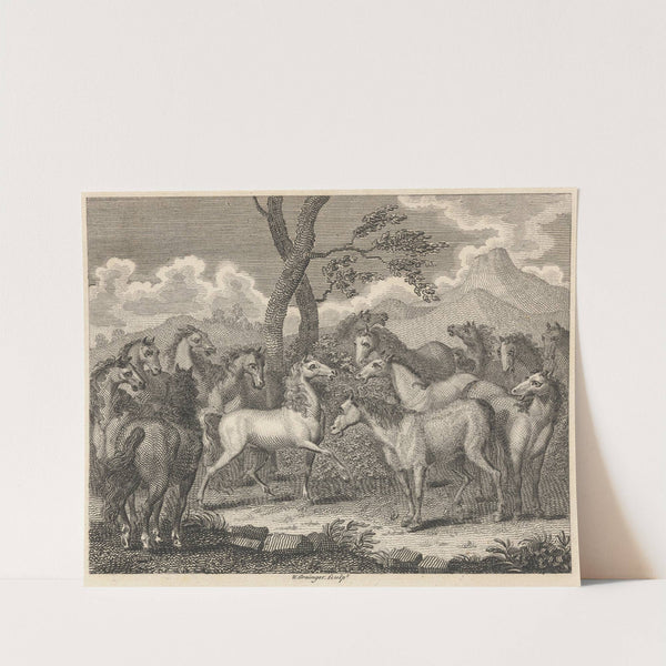 Fable XLIII. The Council of Horses by John Wootton