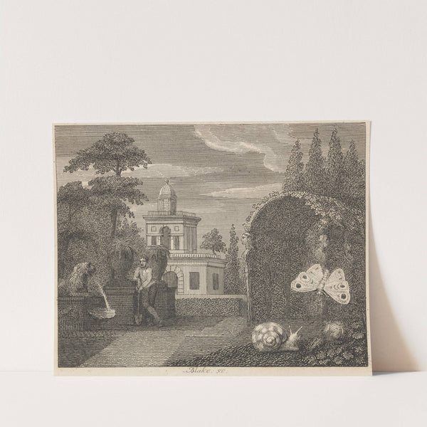 Fable XXIV. The Butterfly and the Snail by John Wootton