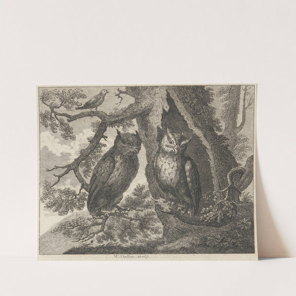 Fable XXXII. The Two Owls and the Sparrow by John Wootton