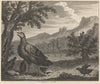 Fable XXXVIII. The Turkey and the Ant