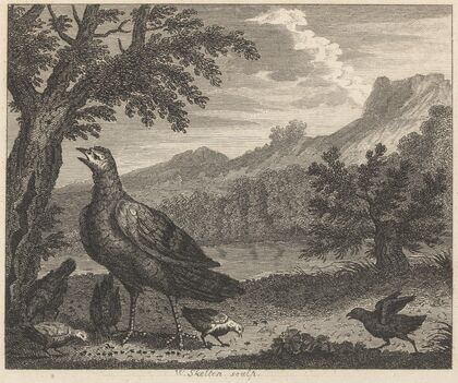 Fable XXXVIII. The Turkey and the Ant