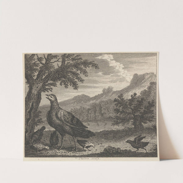 Fable XXXVIII. The Turkey and the Ant by John Wootton