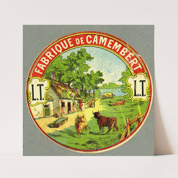 Fabrique de camembert