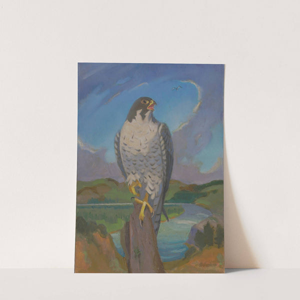 Falco Peregrinus (1961) by James C. Kulhanek