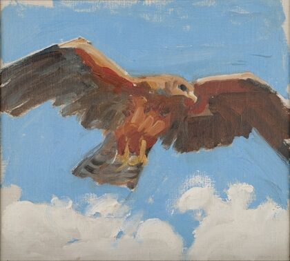 Falcon (1909‒1910)