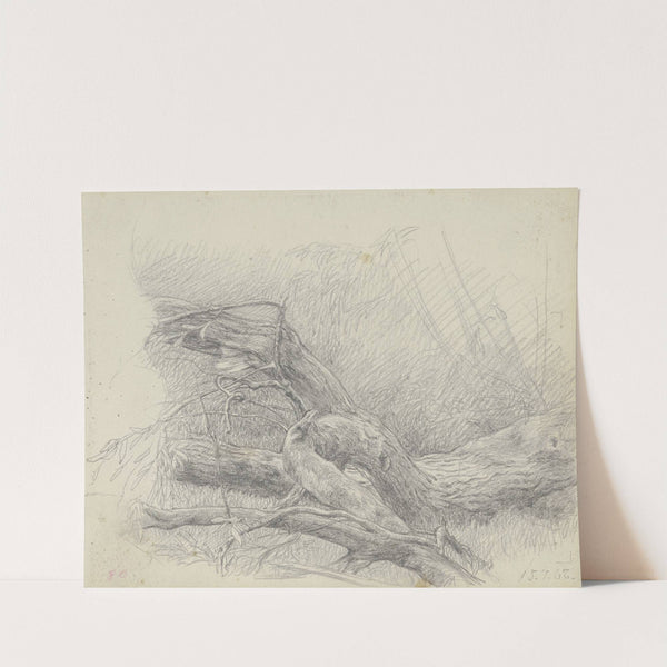 Fallen over tree trunk by Louis Eysen