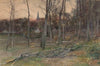 Fallen Trees