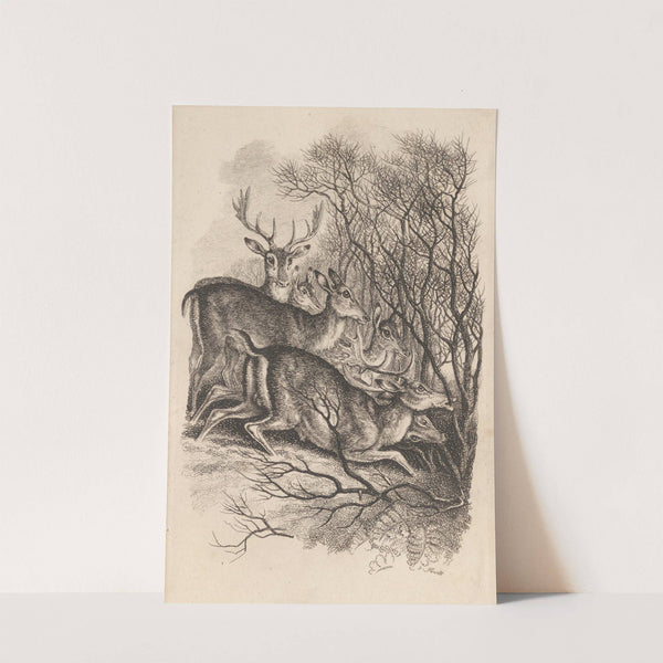 Fallow Deer, Biting their Way through a Quick Fence in the Snow (1819) by Samuel Howitt