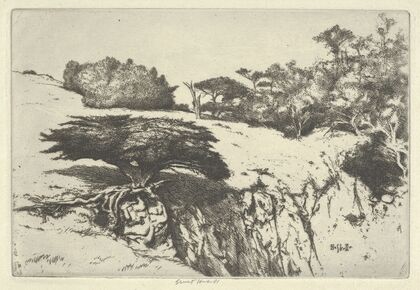 Fan Tree and Her Canyon (1915-1925)