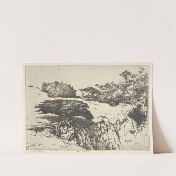 Fan Tree and Her Canyon (1915-1925) by Ernest Haskell