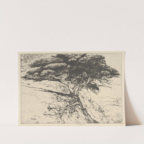 Fan Tree (1920) by Ernest Haskell