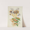 Fantastic flowers, from New Suite of Notebooks of Ideal Flowers for the Use of Designers and Painters by Anne Allen