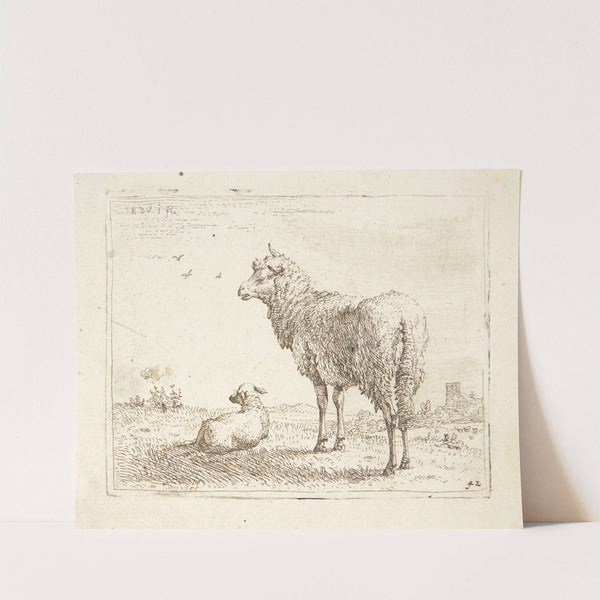 Får med et lam by Karel Dujardin