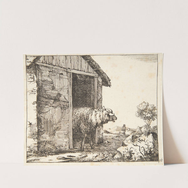 Får på vej ud af en stald by Marcus de Bye