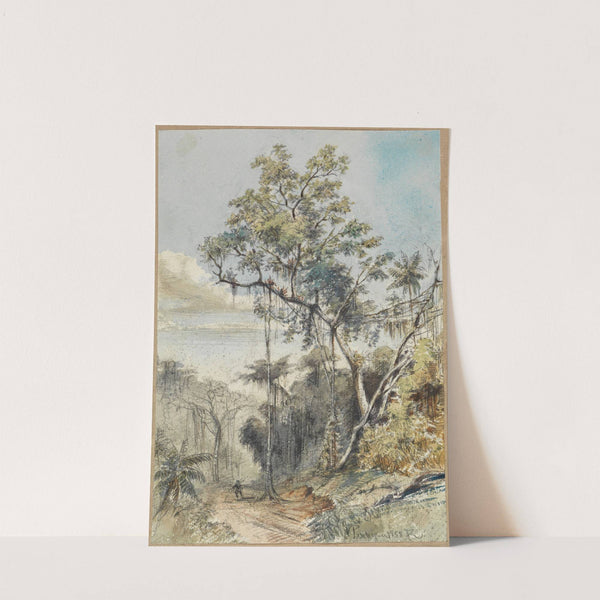 Farbige Baumstudie im Urwald an einem Weg (1858) by Ferdinand Keller