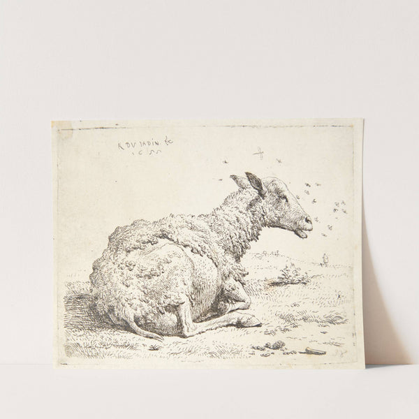 Fåret og fluerne by Karel Dujardin