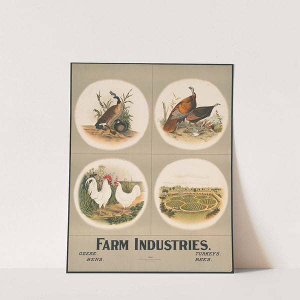 Farm industries no. 31 (1903) by Nature & Method Publ. Co.