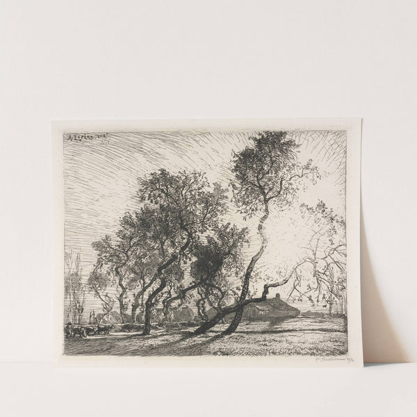 Farm with Poplar Trees of Holland (1914) by Auguste Louis Lepère