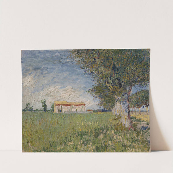 Farmhouse in a wheat field (1888) by Vincent van Gogh