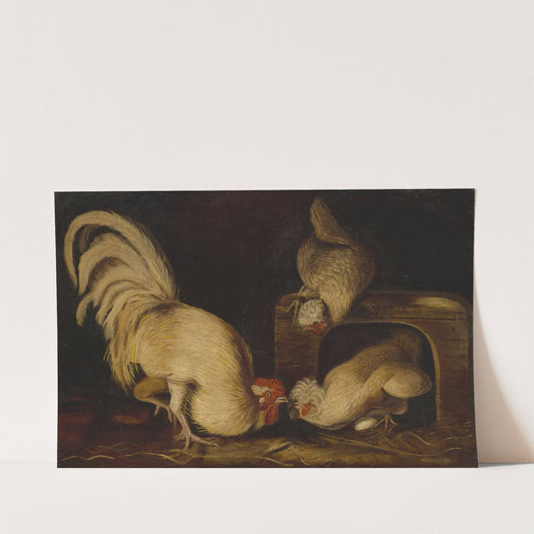 Farmyard Fowls by John James Audubon