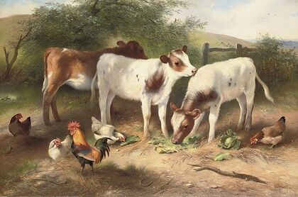 Farmyard friends