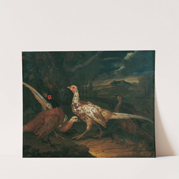 Fasane (1745) by Philipp Ferdinand de Hamilton