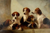 Favorite Hounds