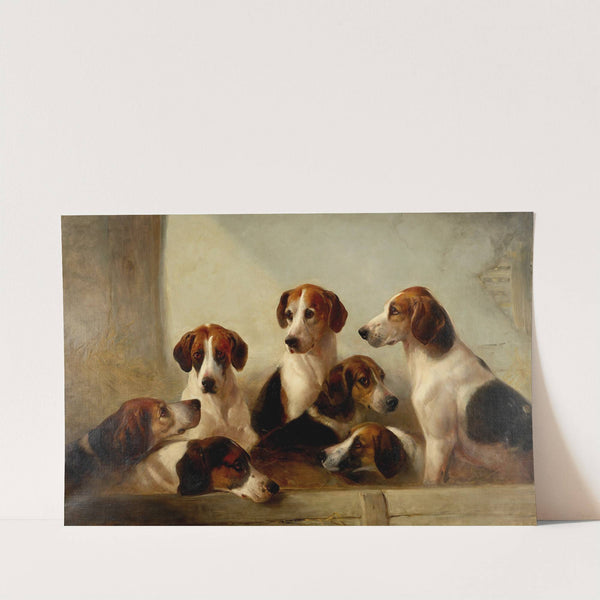 Favorite Hounds by Edward Robert Smythe