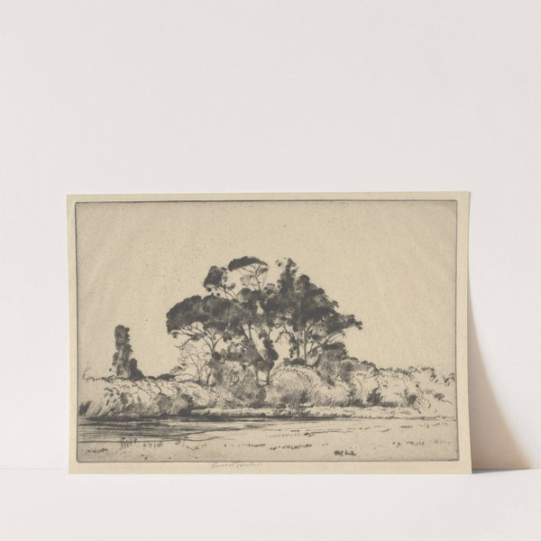 Feathery Trees (1900-1925) by Ernest Haskell