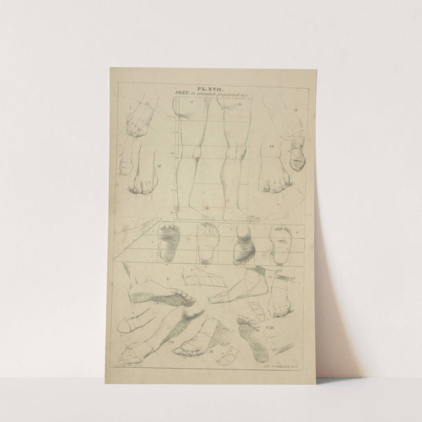 Feet - in attitude and proportions of legs by John Rubens Smith