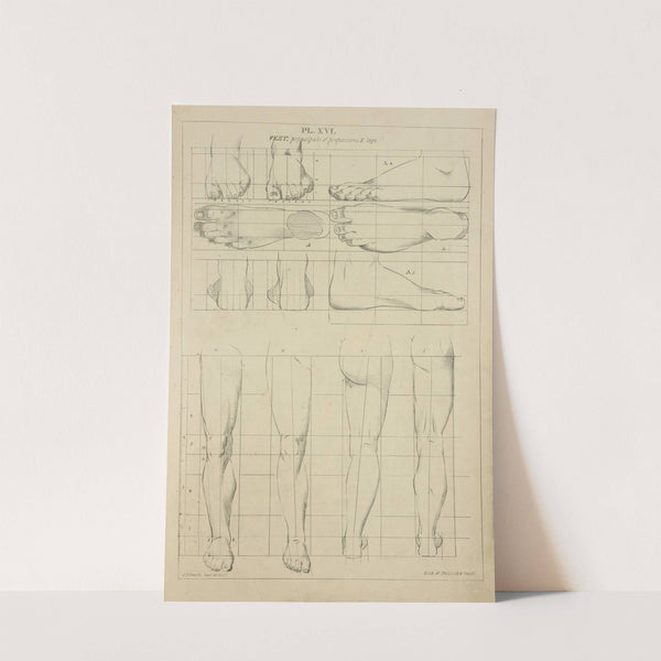 Feet - principles of proportions and legs by John Rubens Smith